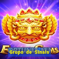 Grupo de Sinais Roleta whatsapp